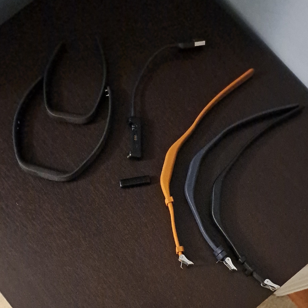 Fitbit Flex 2 with Iterchangeable Silicone Watch Bands abd Charger